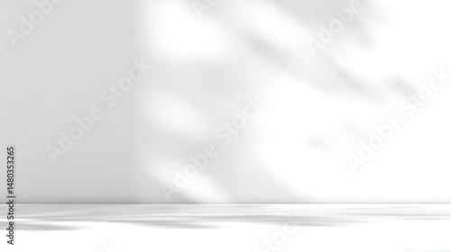 Abstract scene with shadows of foliage on a white wall and floor