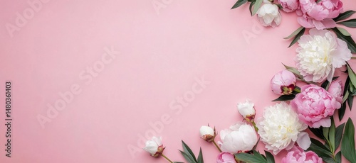 Delicate Pink and White Peonies on a Pastel Pink Background