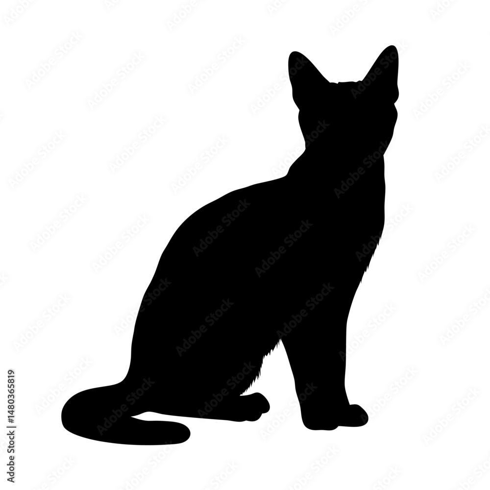 Obraz premium Black cat silhouette vector illustration of feline pet sitting profile domestic animal art design