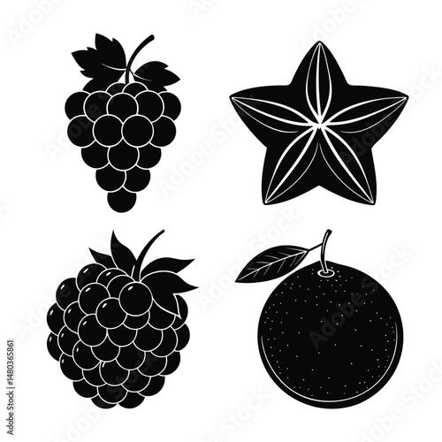 Wallpaper Mural set of fruits Raspberry, Grapes, Clementine,  Star Fruit illustration vector art  Torontodigital.ca