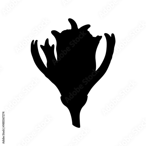 Download vector graphic of black seaweed silhouette for design and artistic projects usage now