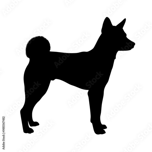 Explore the basenji dog breed silhouette a comprehensive guide to this unique african canine breed