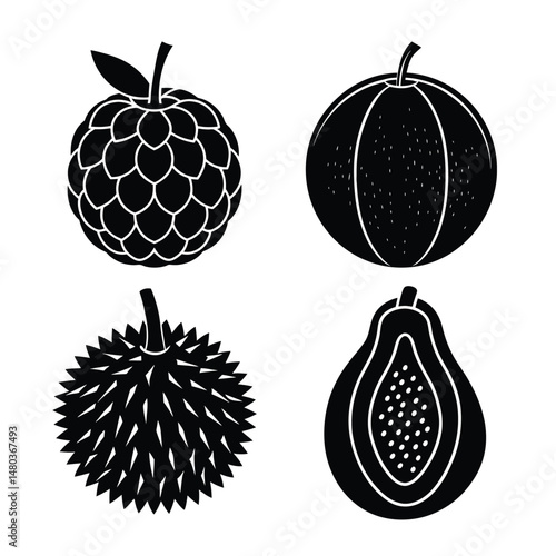set of fruits Custard Apple, Durian , Papaya, Cantaloupe, illustration vector art 