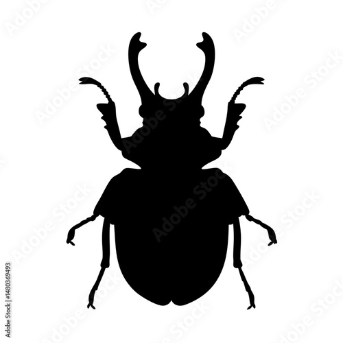 Download stag beetle silhouette vector image insect illustration black and white graphic design element