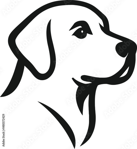 legendary Doge,, A Refined and Unique Representation of Strength and Digital Culture. 