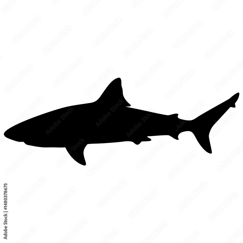 Obraz premium Shark silhouette ocean predator sea animal marine life underwater wildlife aquatic creature shark fin black shark