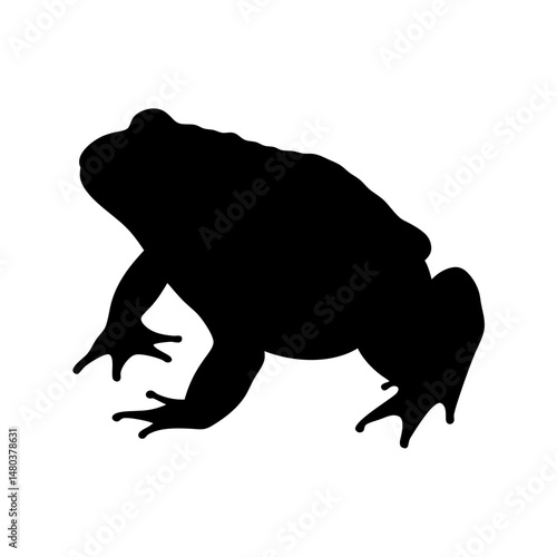 Black silhouette frog amphibian wildlife nature animal toad vector illustration graphic design art
