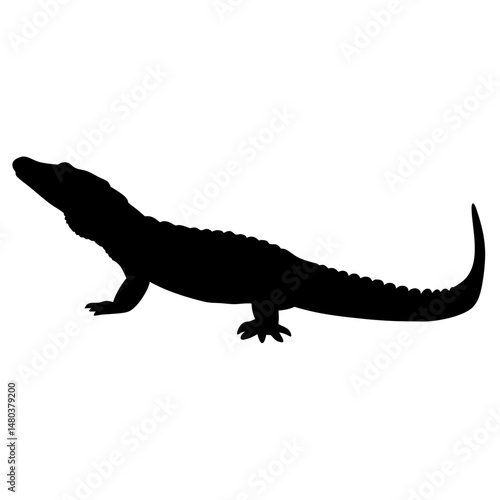 Alligator silhouette vector illustration of reptile gator wildlife animal swamp predator danger crocodylus