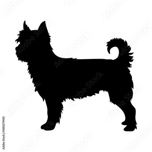 Schnauzer dog silhouette isolated on white, Black silhouette of a schnauzer dog standing on white background, ideal for pet logos, decals, and graphic design.

