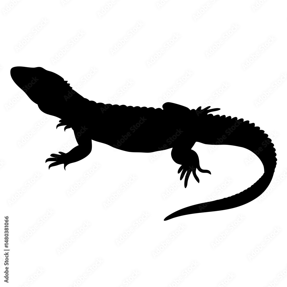 Fototapeta premium Illustration of a reptile lizard silhouette, animal vector graphics design element, wildlife art, gecko