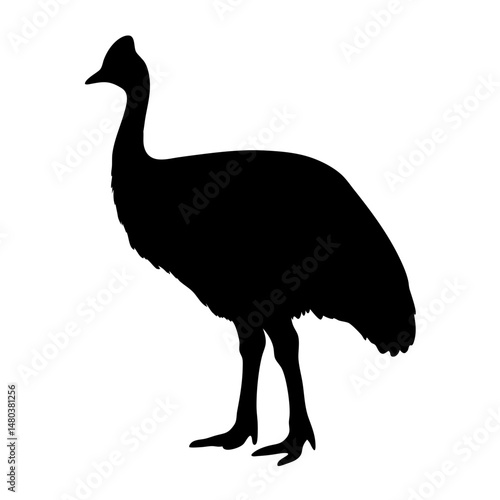 Cassowary silhouette vector illustration of flightless bird cassowaries wildlife animal art image design