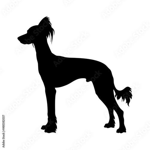 Chinese crested dog silhouette vector art illustration pet animal canine breed mammal domestic friend hairless