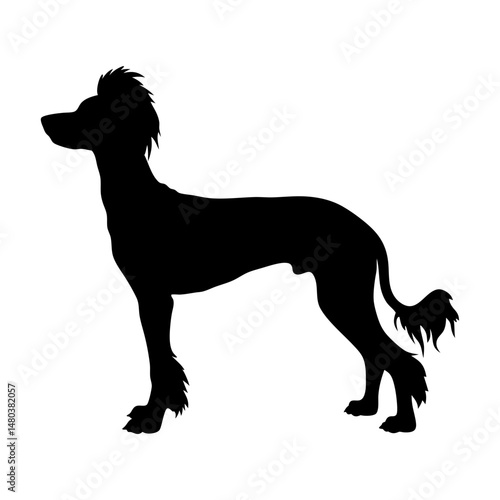 Silhouette of chinese crested dog breed companion animal pet canine mammal hairless dog breed art