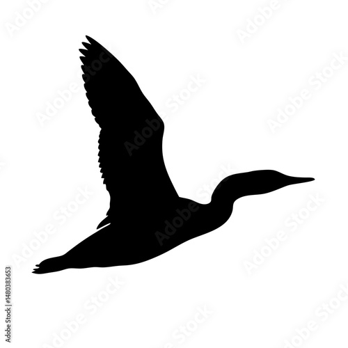Silhouette of flying cormorant bird vector illustration graphic design element avian wildlife nature image art
