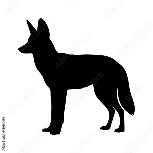 Black coyote silhouette vector art illustration of wildlife animal canidae predator design graphic