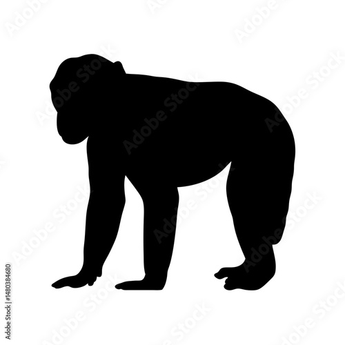 Silhouette of ape gorilla chimpanzee monkey primate animal mammal wildlife jungle forest zoo black