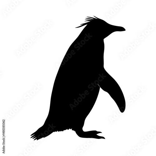 Silhouette of rockhopper penguin vector illustration wildlife antarctic bird black and white animal art design