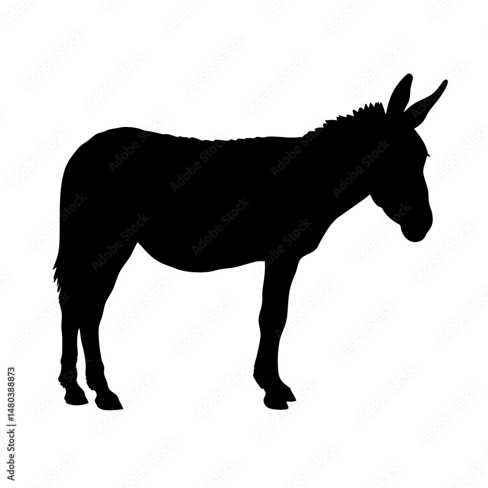Obraz premium Black silhouette of donkey animal illustration farm mammal equine mule burro jack stock image