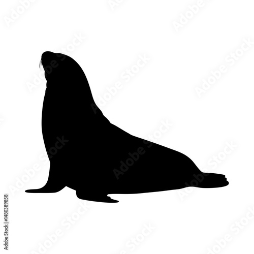 Sea lion silhouette vector illustration marine mammal aquatic animal wildlife ocean seal rookery zoo art