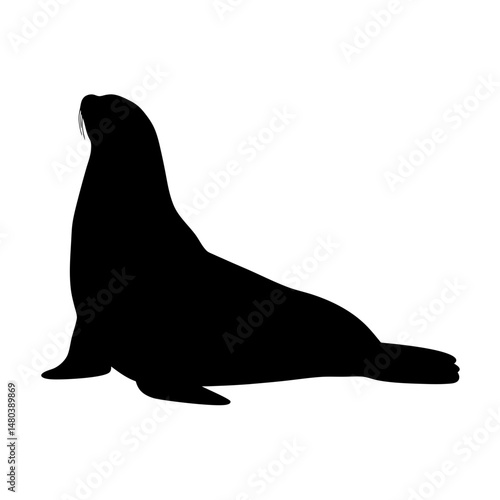 Isolated sea lion silhouette vector illustration marine mammal wildlife ocean animal aquatic seal rookery zoo fauna