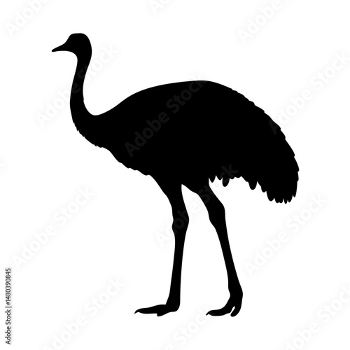 Silhouette of an emu bird, australian wildlife, flightless bird, ratite, animal illustration, vector graphics, art