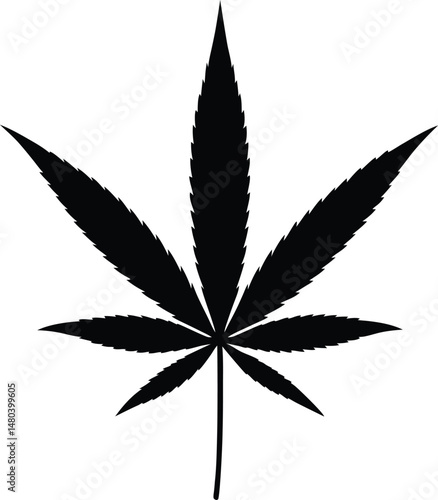 cannabis leaf vector illustration