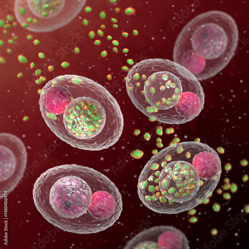 Medical background, Chlamydophila pneumoniae, bacteria from the Chlamydiaceae family, the main causative agent of pneumonia in humans, 3D rendering