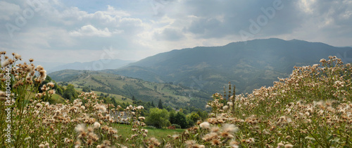 Mountain panoramic view with wildflowers in the foreground. Green slopes, pea...