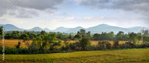 panoramic view against the blue sky, orange field, harmony of the forest, dis...