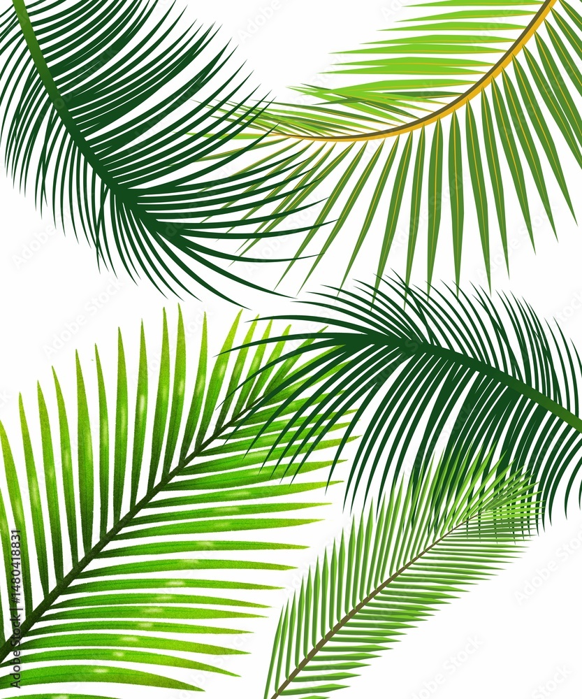 Obraz premium palm leaves background