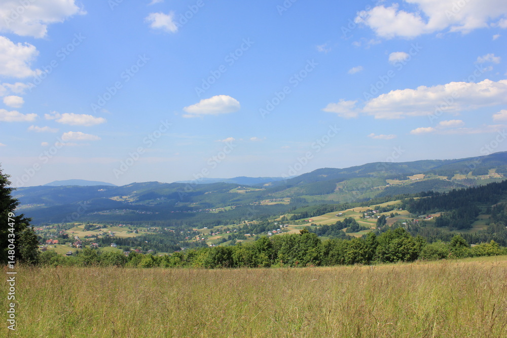 Obraz premium Polana wzniesień