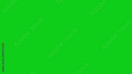 Animated finger touch linear icon. Touchscreen control gesture. Smartphone display. Pointing up. Seamless loop HD video on the black background.
