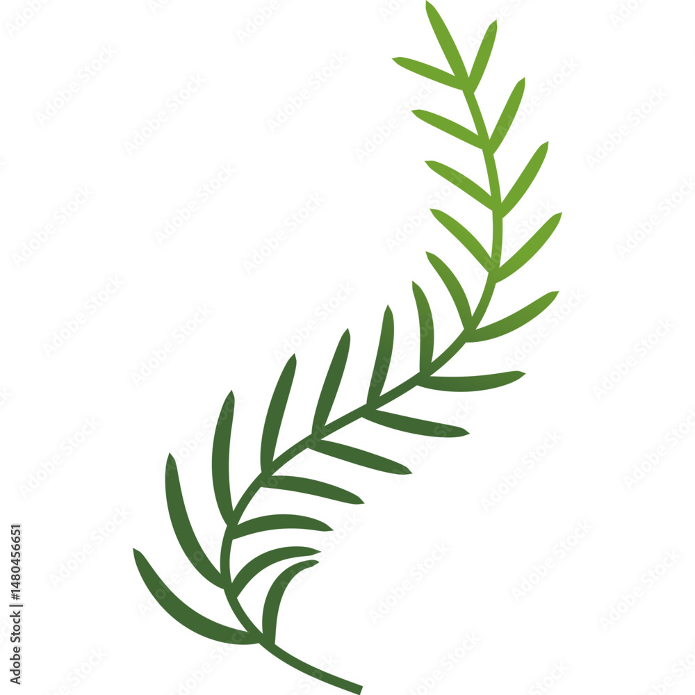 Fototapeta premium Palm Leaf Decoration Gradient