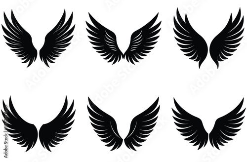 A vector set of bird wings offers a variety of feather illustrations and silhouettes,