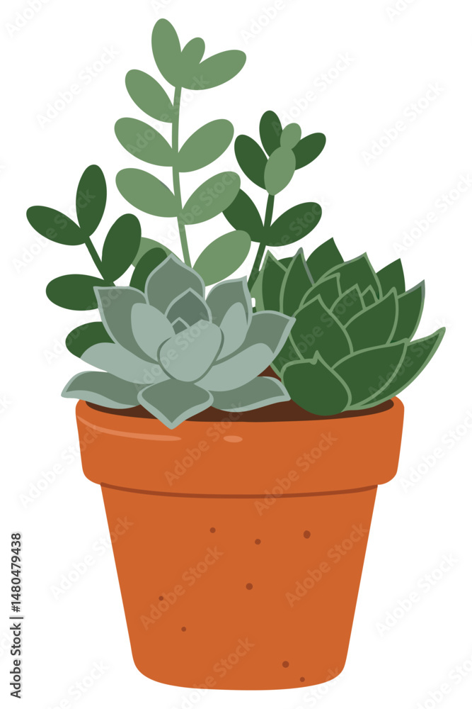 Vibrant Succulents in Classic Clay Pot Arrangement for Home and Garden Décor Vibrant Succulents in Classic Clay Pot Arrangement for Home and Garden Décor