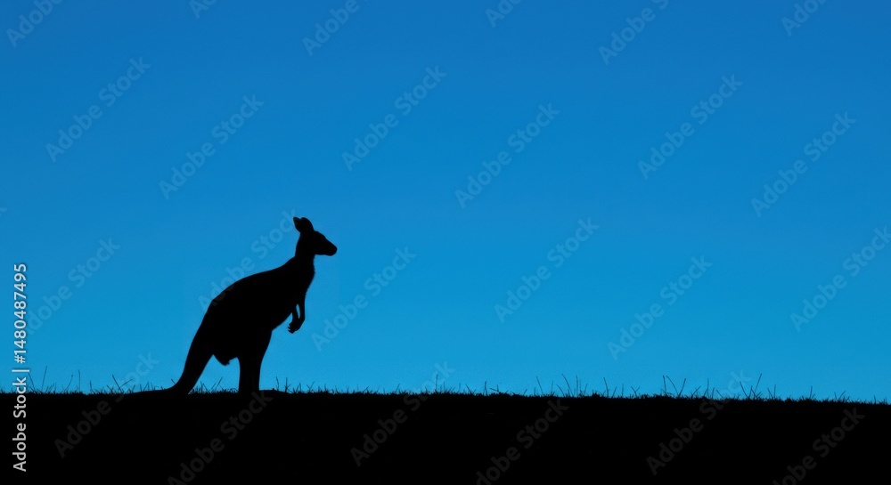Fototapeta premium Silhouette of Kangaroo in Blue Sky - Photo