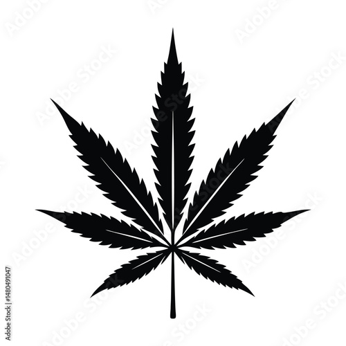 cannabis leaf vector illustration