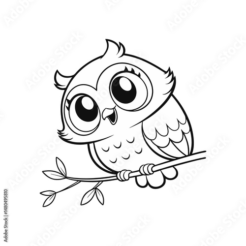 owl on white background