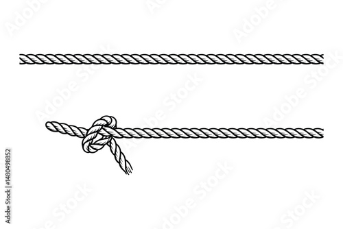 Vector illustration of rope and knot isolated on white background.