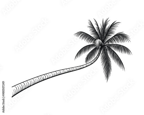Black and white line art of inclined palm tree vector design.