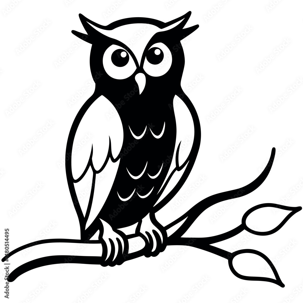 Cute black and white owl perched on a branch. Cute black and white owl perched on a branch.