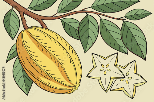 41 photorealistic, highly detailed, beautifully rendered, carambola, yellow starfruit, tropical fruit, green leaves, botanical illustration, watercolor painting, detailed rendering, natural lighting, 