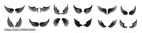 Collection of black vector wings for logo or emblem design. Bird wings, angel wings elements.