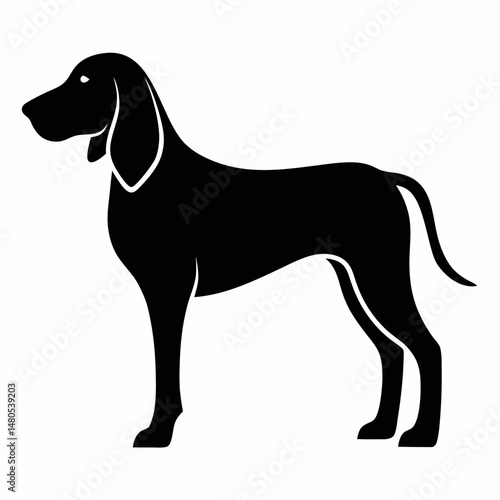black and white dog ector