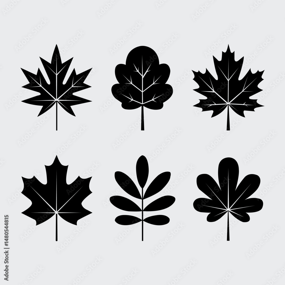 Obraz premium Vector set of decorative leaf silhouettes.