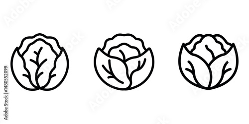 cabbage outline or line icon design bundle.
