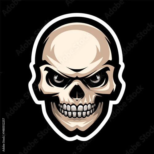 Skull, monster, zombie, skeleton. Jolly roger. T shirt print.