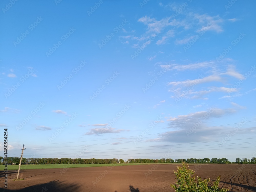 Obraz premium Spring field under the evening sky