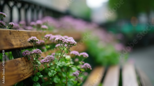 Purple flowers growing on a wooden bench in a city park