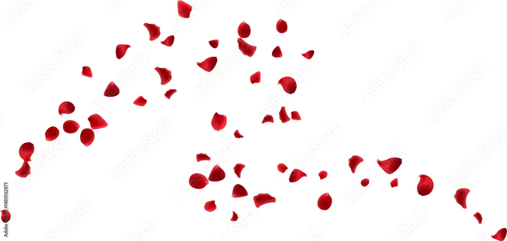 Organic beautiful aroma with red rose petals flying isolated element decorative Organic beautiful aroma with red rose petals flying isolated element decorative